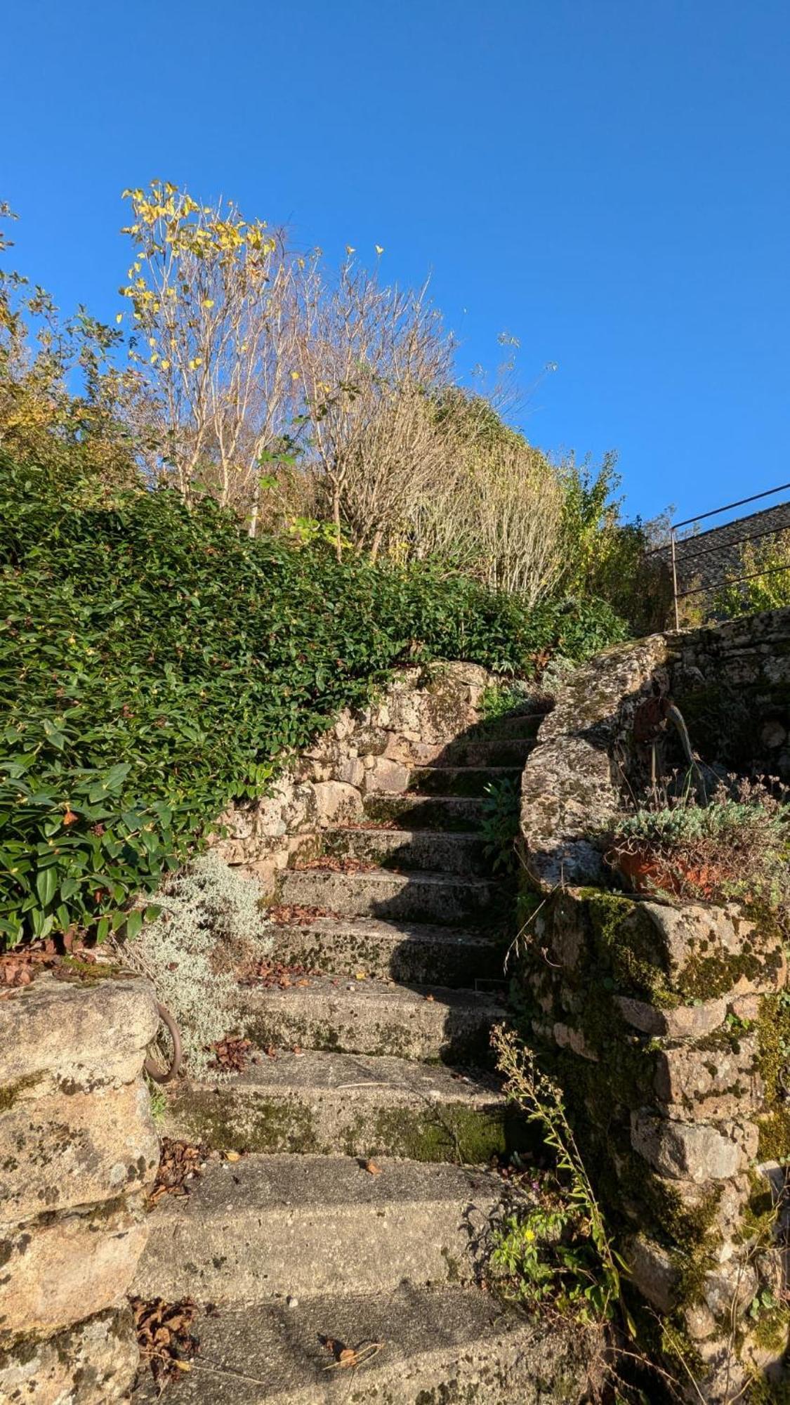 Entire In 'le Clapadou' Chalet Espeyrac